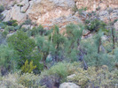 photo thumbnail #3