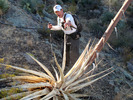 photo thumbnail #8