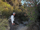 photo thumbnail #11