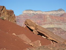 photo thumbnail #6