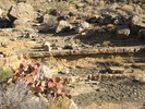 photo thumbnail #13