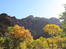 photo thumbnail #1