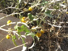 photo thumbnail #8