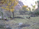 photo thumbnail #10