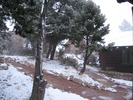 photo thumbnail #9