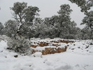 photo thumbnail #1