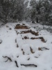photo thumbnail #5