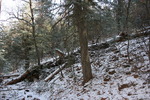 photo thumbnail #3
