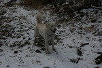 photo thumbnail #9