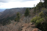 photo thumbnail #11
