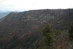 photo thumbnail #12