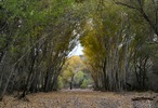 photo thumbnail #7