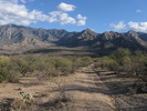 photo thumbnail #13