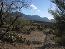 photo thumbnail #14