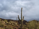 photo thumbnail #3