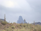 photo thumbnail #13