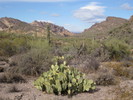 photo thumbnail #7