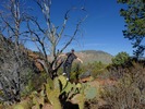 photo thumbnail #5