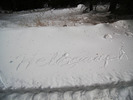 photo thumbnail #2
