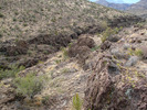 photo thumbnail #4