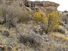 photo thumbnail #8