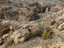 photo thumbnail #14