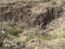 photo thumbnail #15