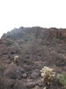 photo thumbnail #10