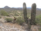 photo thumbnail #9