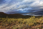photo thumbnail #4
