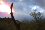 photo thumbnail #5