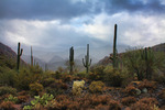 photo thumbnail #6