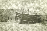 photo thumbnail #14