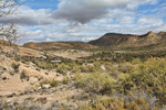 photo thumbnail #15