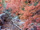 photo thumbnail #5