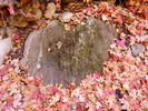photo thumbnail #15