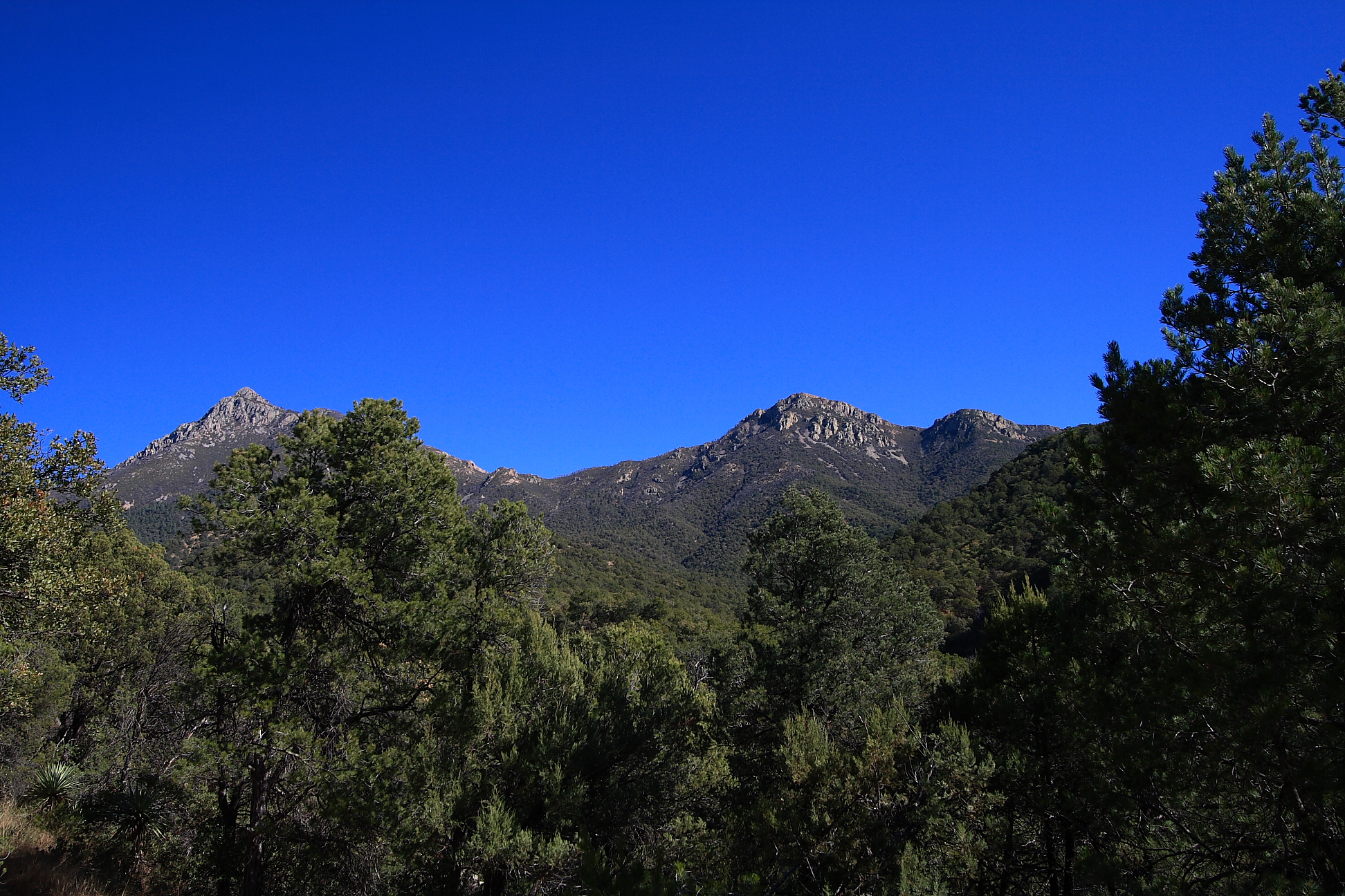 Josephine Canyon Trail #133, AZ | HikeArizona