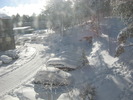 photo thumbnail #15