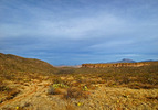 photo thumbnail #4