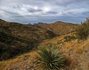 photo thumbnail #13