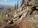photo thumbnail #4