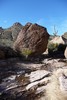 photo thumbnail #13