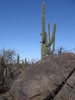 photo thumbnail #1