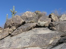 photo thumbnail #3