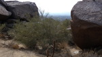 photo thumbnail #11