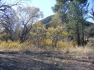 recent photo