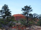 photo thumbnail #14