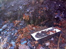 photo thumbnail #9