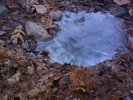 photo thumbnail #15