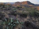 photo thumbnail #4